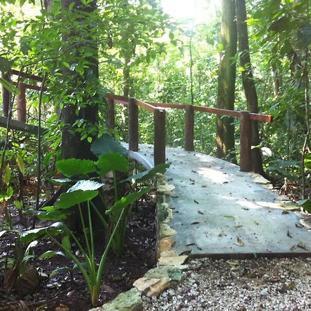 Finca Vallescondido El Caobano エクステリア 写真