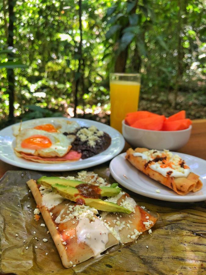 Finca Vallescondido El Caobano エクステリア 写真