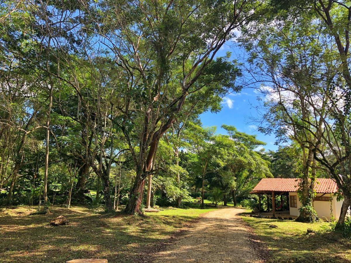 Finca Vallescondido El Caobano エクステリア 写真