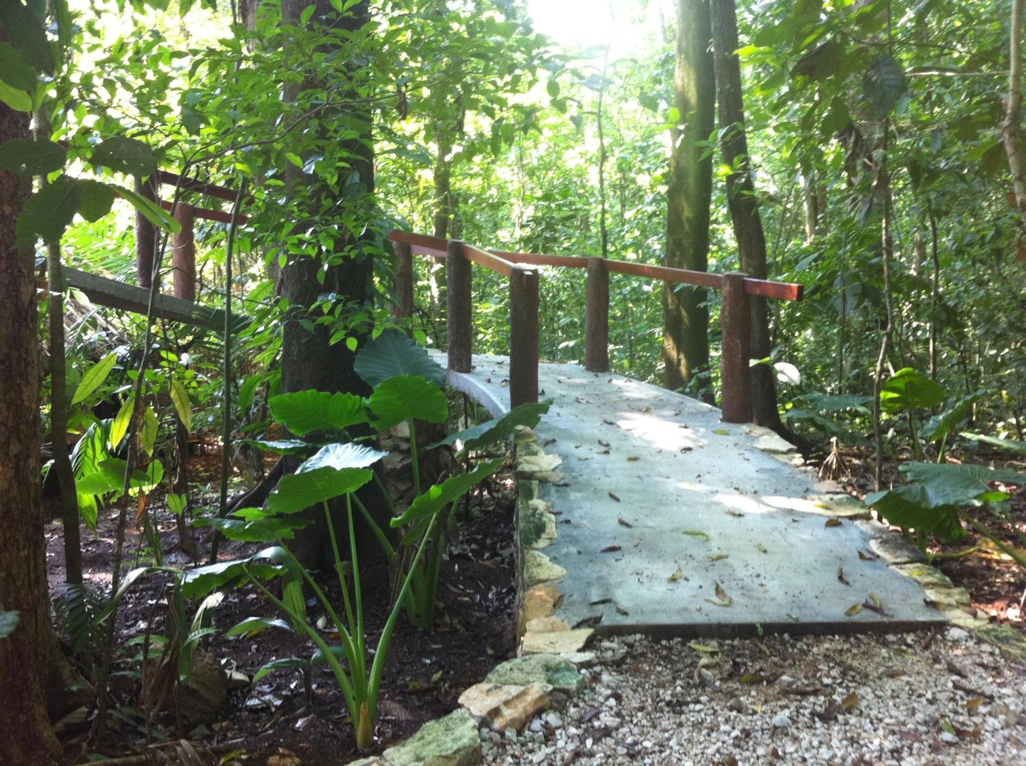 Finca Vallescondido El Caobano エクステリア 写真