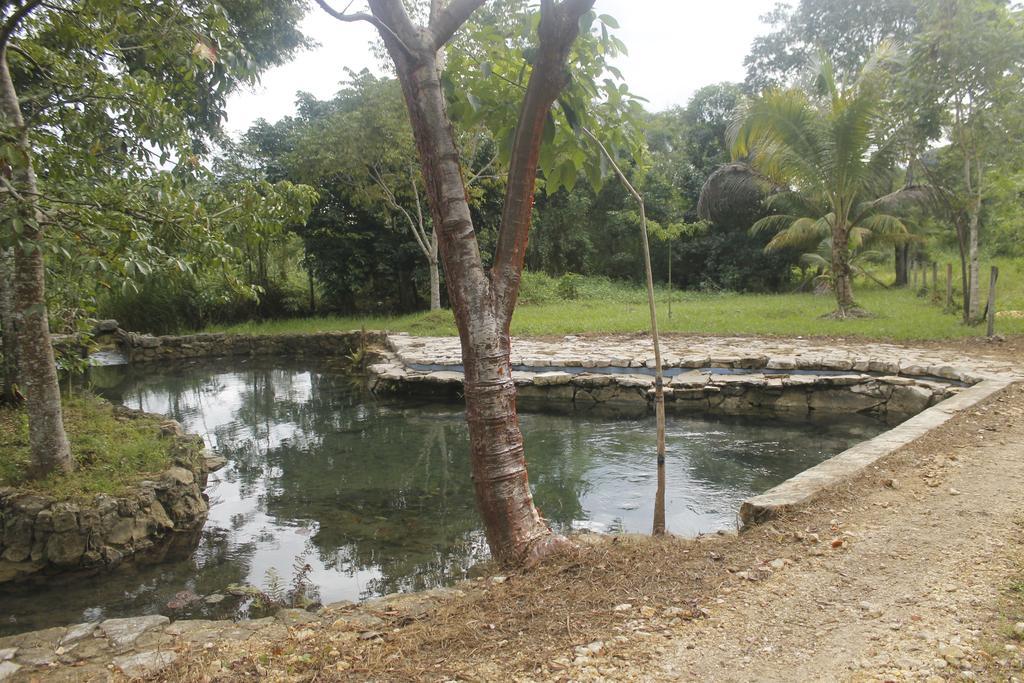Finca Vallescondido El Caobano エクステリア 写真